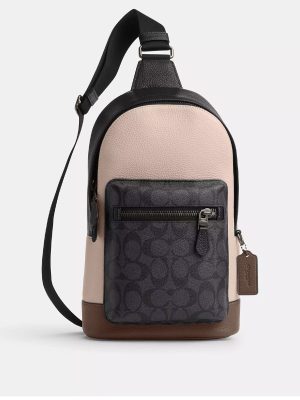 COACH West Pack In Colorblock Signature Canvas