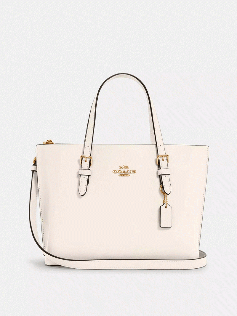 COACH Mollie Tote 25 (Minor Stained)