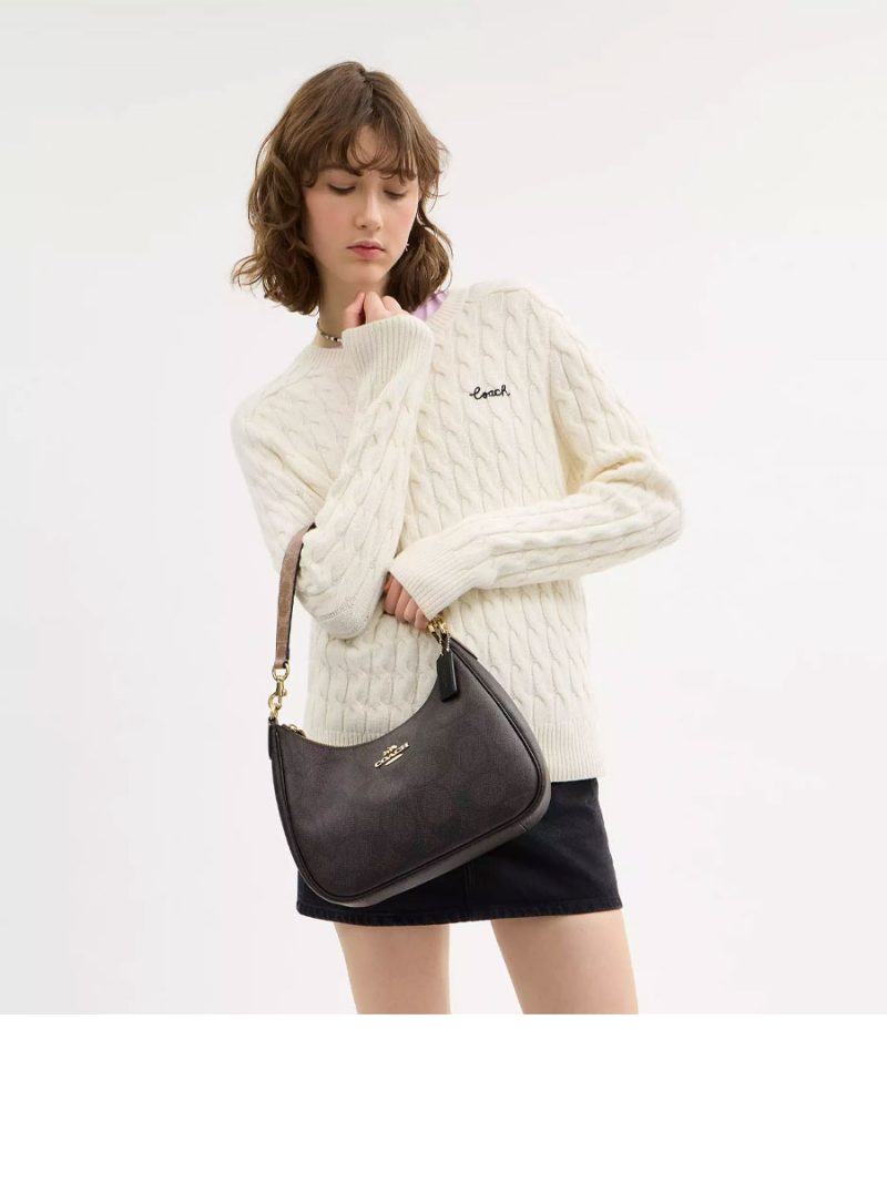 COACH Teri Hobo Bag In Blocked Signature Canvas - Image 5