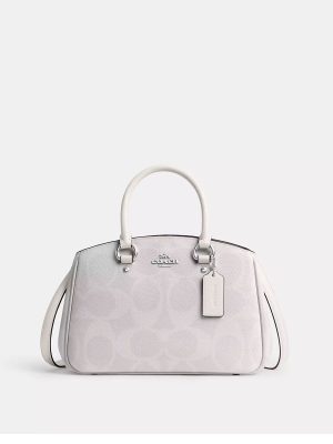 COACH Savannah Small Carryall Bag In Signature Canvas