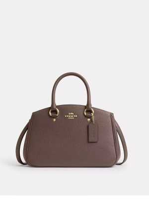 COACH Savannah Small Carryall Bag