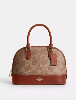 COACH  Sabrina Satchel Bag In Signature Canvas