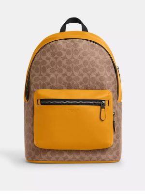 COACH West Backpack In Colorblock Signature Canvas