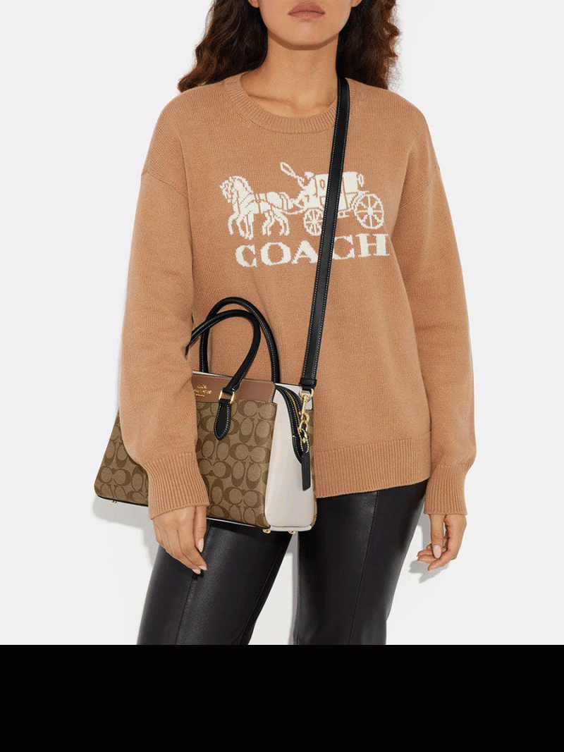 COACH Darcie Carryall In Colorblock Signature Canvas (AS IS) - Image 5