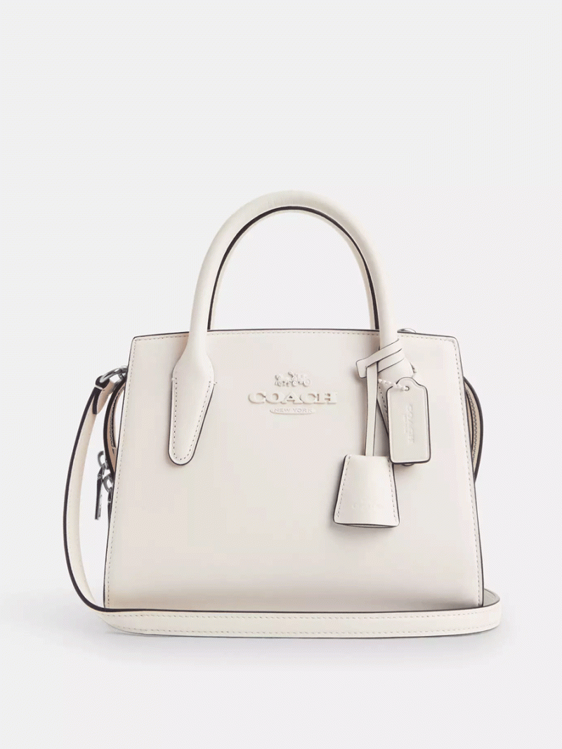 COACH Andrea Carryall