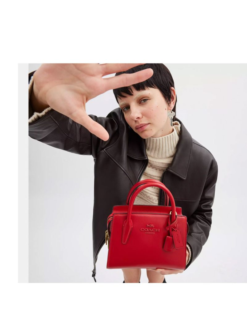 COACH Andrea Carryall - Image 6