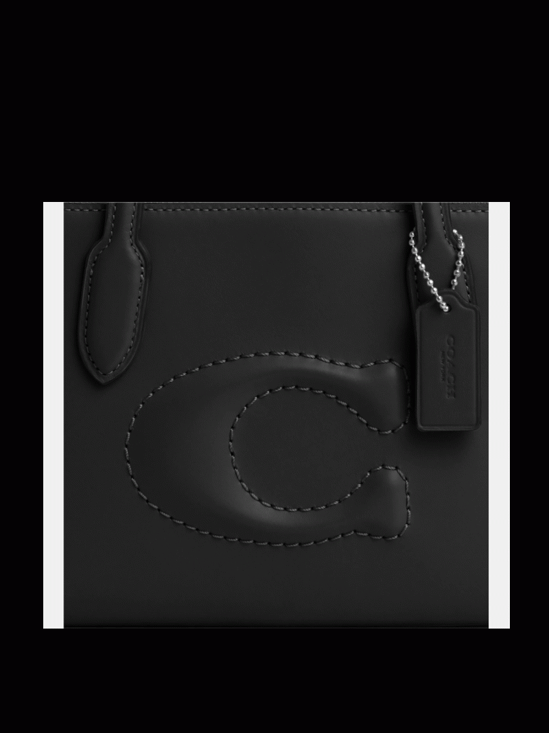 COACH Nina Small Tote - Image 5