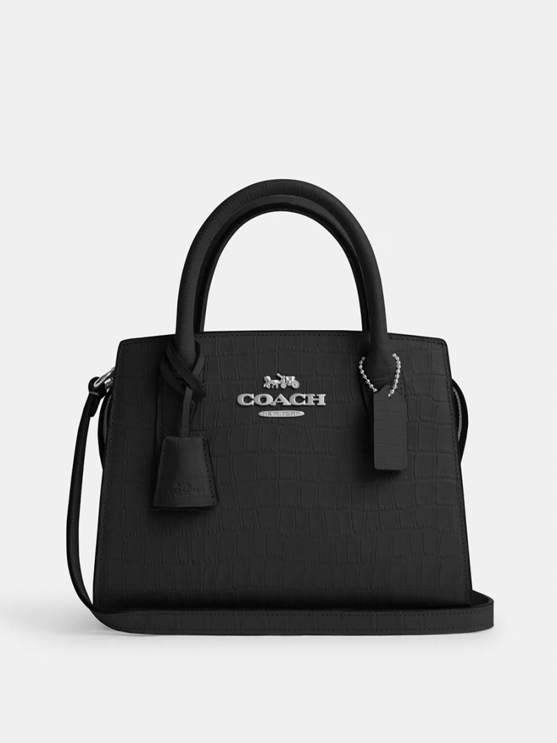 COACH Andrea Carryall