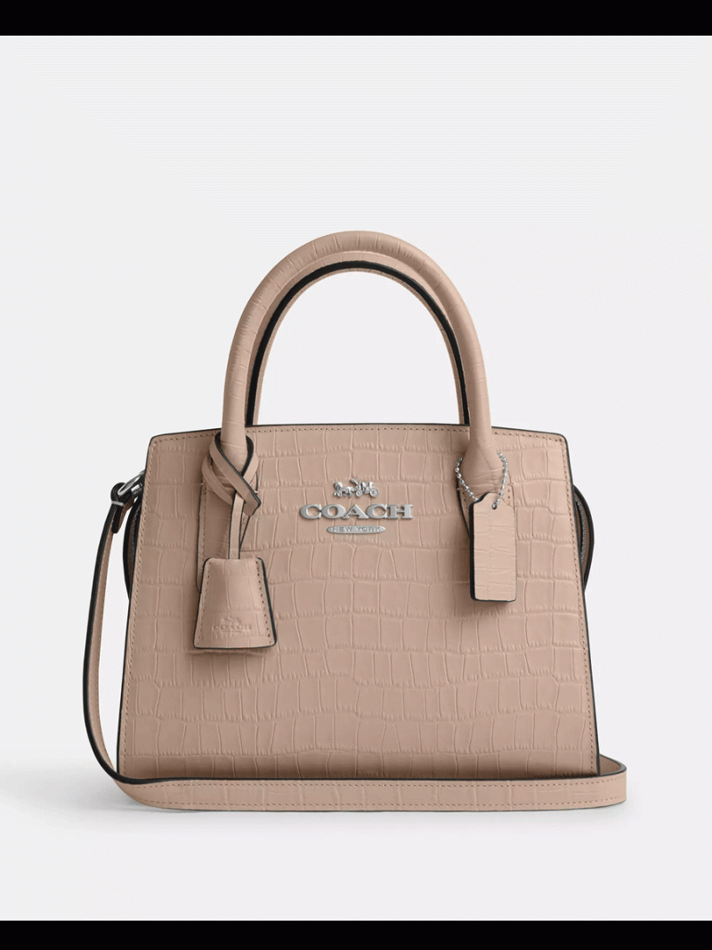 COACH Andrea Carryall