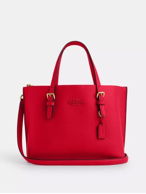 COACH Mollie Tote 25