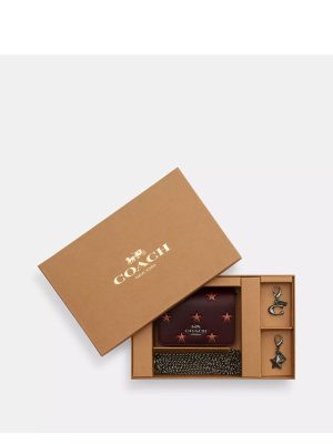 COACH Boxed Mini Wallet On A Chain With Star Print