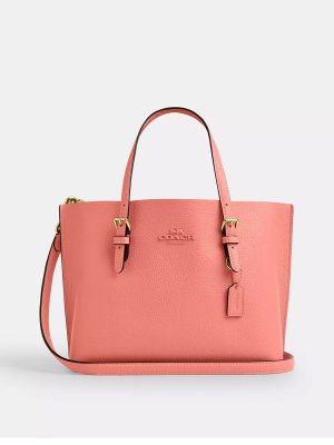 COACH Mollie Tote Bag 25