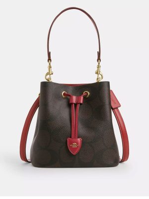 COACH Rowan Bucket Bag In Maxi Signature Canvas